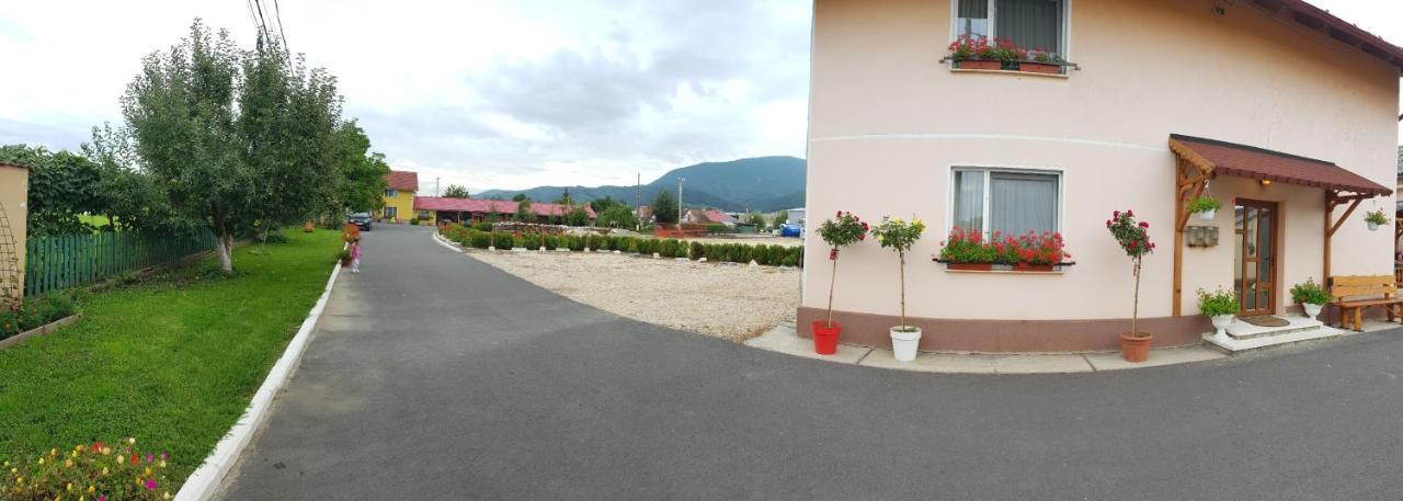Hotel Cazare La Troita à Codlea Extérieur photo